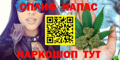 ALPHA PVP Новозыбков