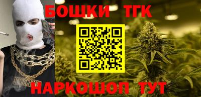 соль ск Новодвинск